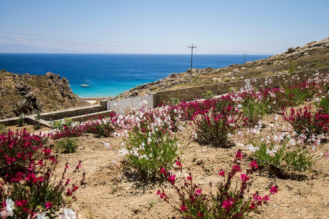 Villa Anais 1 Mykonos Elia  外观 照片